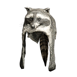 Chapeau en Tissu Raton Laveur