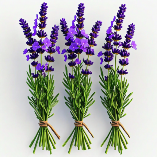 Lavendel